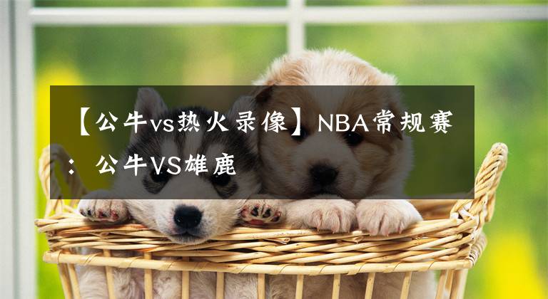 【公牛vs热火录像】NBA常规赛:公牛VS雄鹿