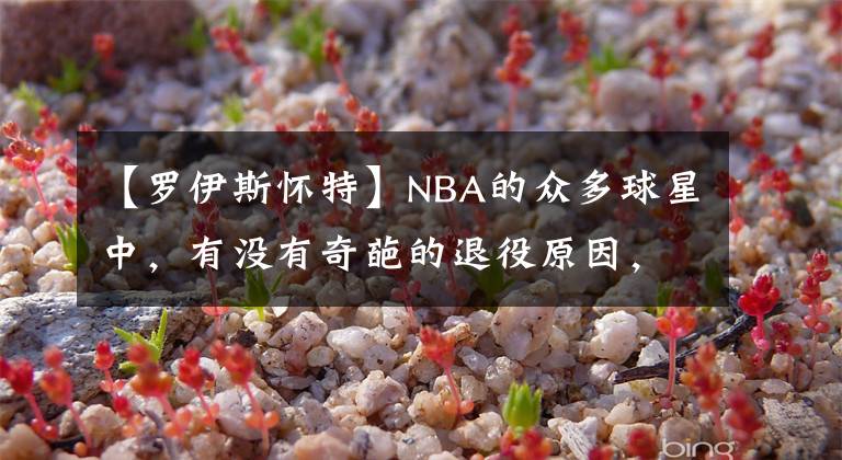 【罗伊斯怀特】NBA的众多球星中,有没有奇葩的退役原因,都有谁呐
