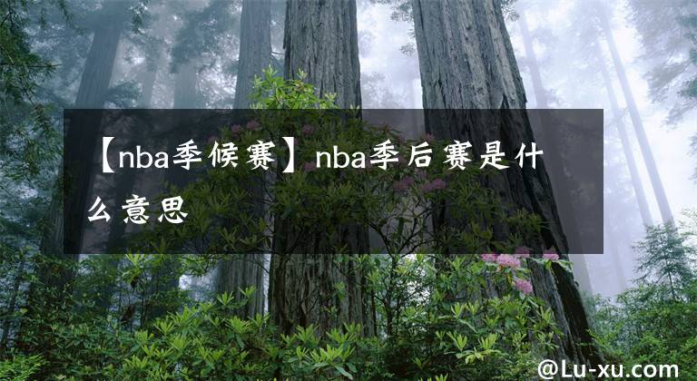 【nba季候赛】nba季后赛是什么意思