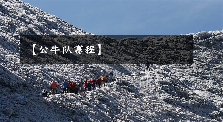 【公牛队赛程】