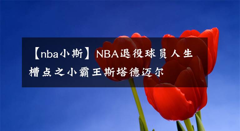 【nba小斯】NBA退役球员人生槽点之小霸王斯塔德迈尔