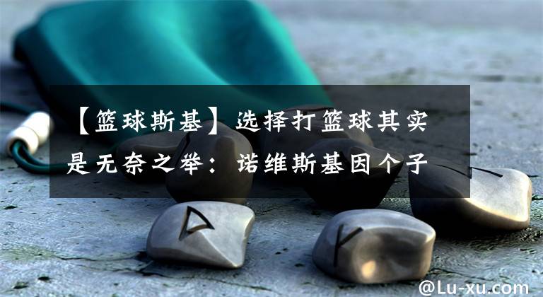 【篮球斯基】选择打篮球其实是无奈之举：诺维斯基因个子高，恩比德多谢莫特