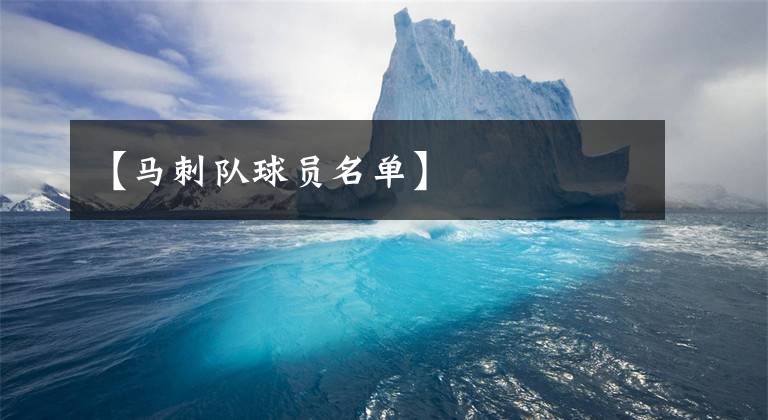 【马刺队球员名单】