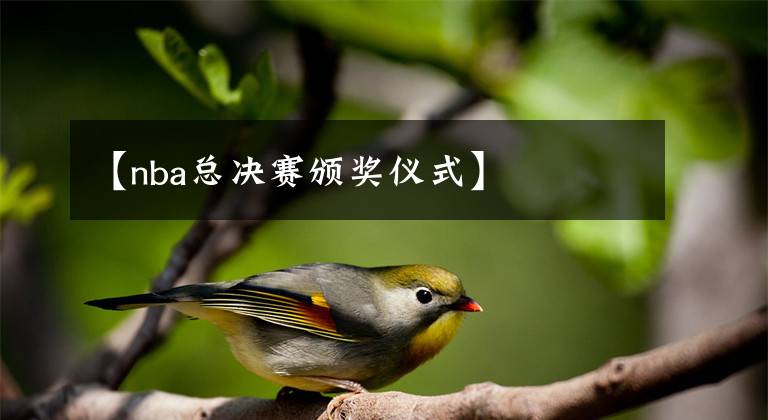 【nba总决赛颁奖仪式】