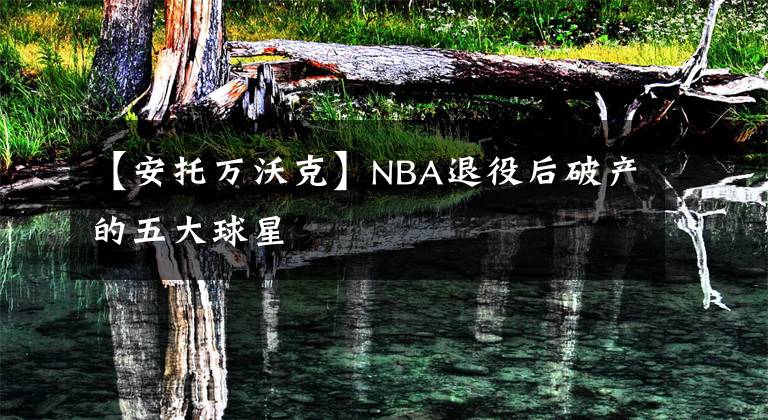 【安托万沃克】NBA退役后破产的五大球星