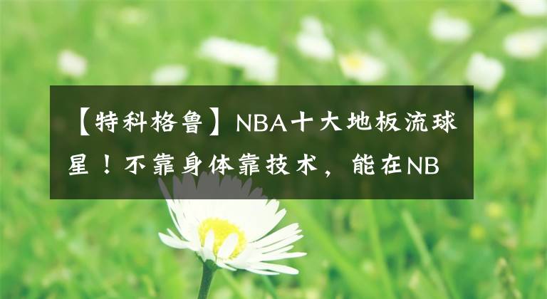 【特科格鲁】NBA十大地板流球星!不靠身体靠技术,能在NBA混成啥样?