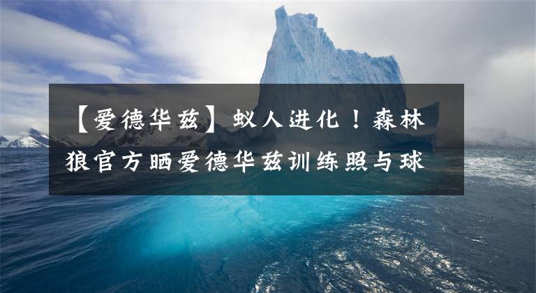 【爱德华兹】蚁人进化!森林狼官方晒爱德华兹训练照与球迷分享