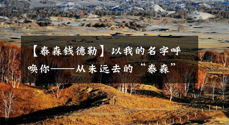 【泰森钱德勒】以我的名字呼唤你——从未远去的“泰森”