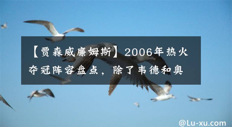 【贾森威廉姆斯】2006年热火夺冠阵容盘点，除了韦德和奥尼尔，其他人不应被忽视
