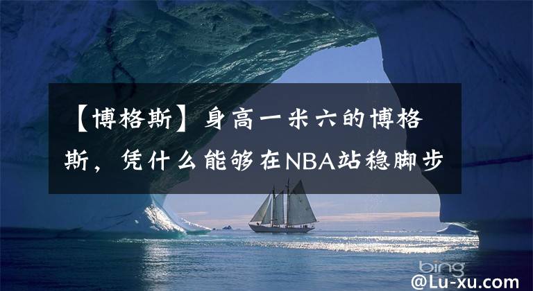 【博格斯】身高一米六的博格斯，凭什么能够在NBA站稳脚步呢？