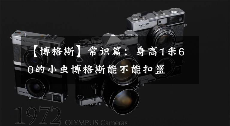 【博格斯】常识篇:身高1米60的小虫博格斯能不能扣篮