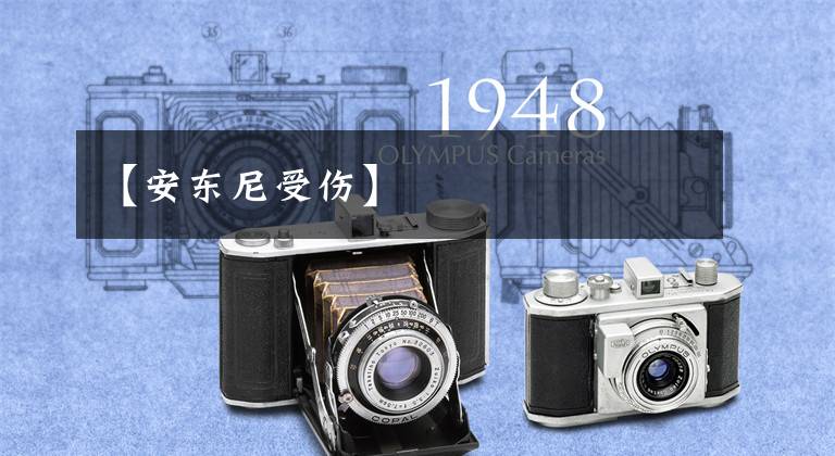 【安东尼受伤】