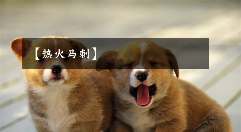 【热火马刺】