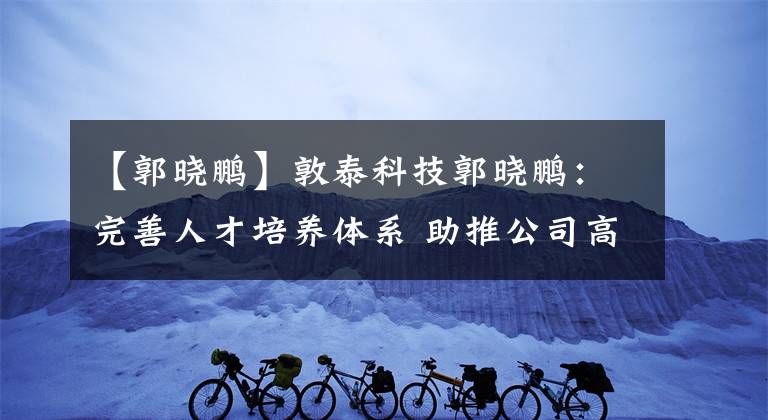【郭晓鹏】敦泰科技郭晓鹏:完善人才培养体系 助推公司高质量发展