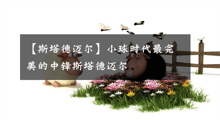 【斯塔德迈尔】小球时代最完美的中锋斯塔德迈尔