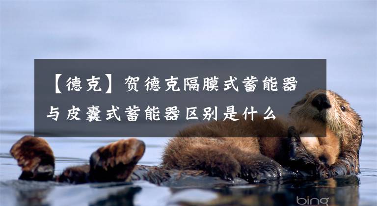 【德克】贺德克隔膜式蓄能器与皮囊式蓄能器区别是什么