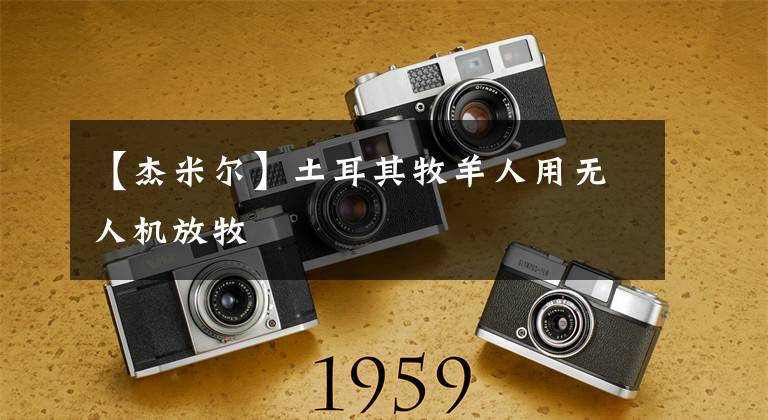 【杰米尔】土耳其牧羊人用无人机放牧