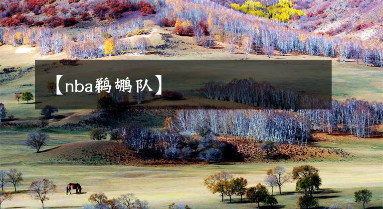 【nba鹈鹕队】