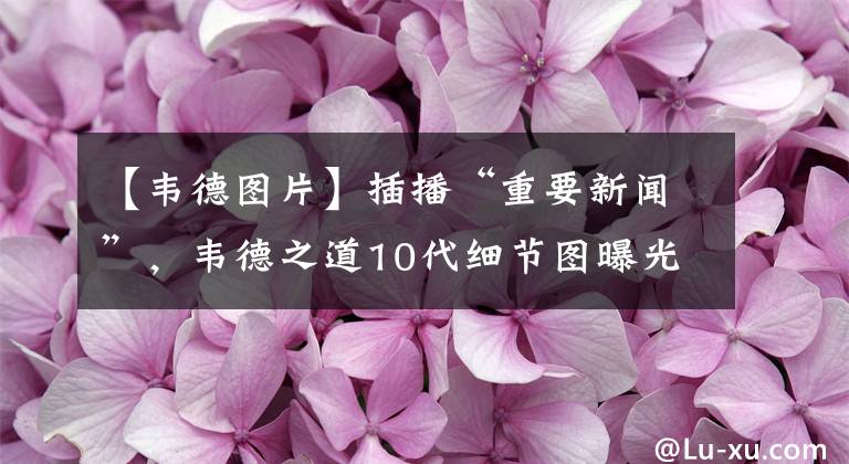 【韦德图片】插播“重要新闻”，韦德之道10代细节图曝光了，我吹爆他！