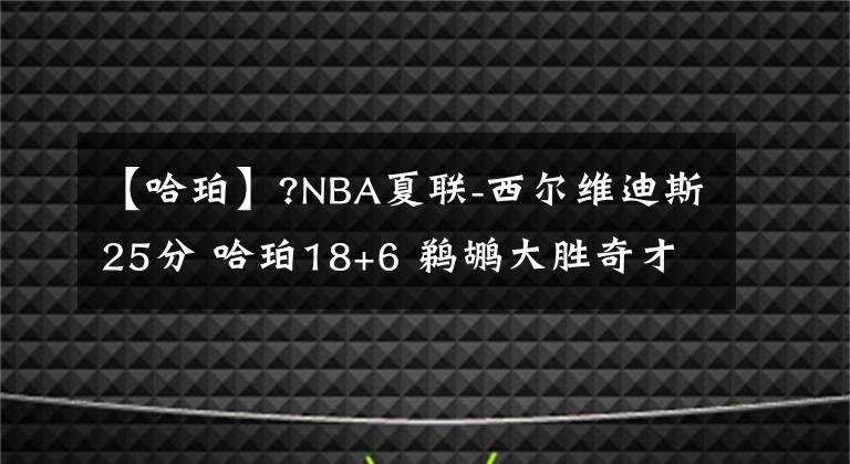 【哈珀】?NBA夏联-西尔维迪斯25分 哈珀18+6 鹈鹕大胜奇才