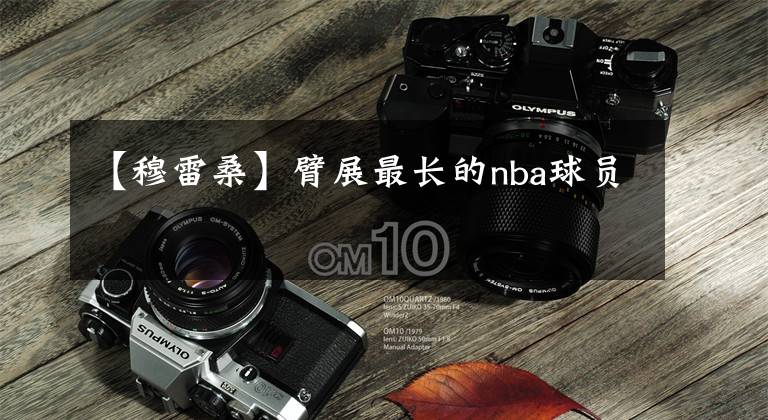 【穆雷桑】臂展最长的nba球员