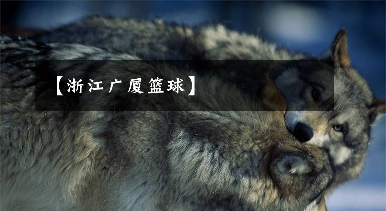 【浙江广厦篮球】