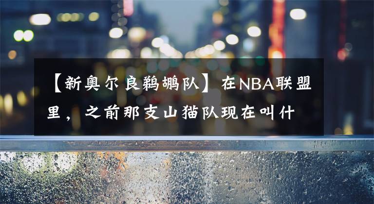 【新奥尔良鹈鹕队】在NBA联盟里，之前那支山猫队现在叫什么名字？