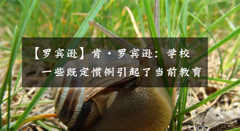 【罗宾逊】肯·罗宾逊:学校的一些既定惯例引起了当前教育中的一些问题