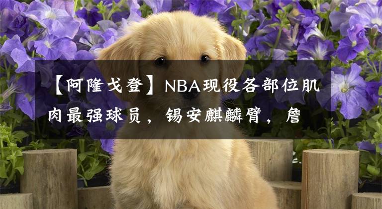 【阿隆戈登】NBA现役各部位肌肉最强球员，锡安麒麟臂，詹姆斯大腿堪比水桶