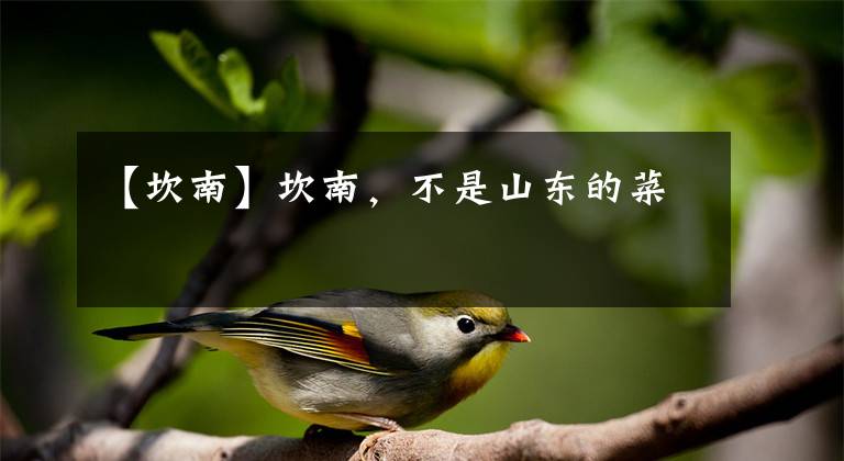 【坎南】坎南，不是山东的菜