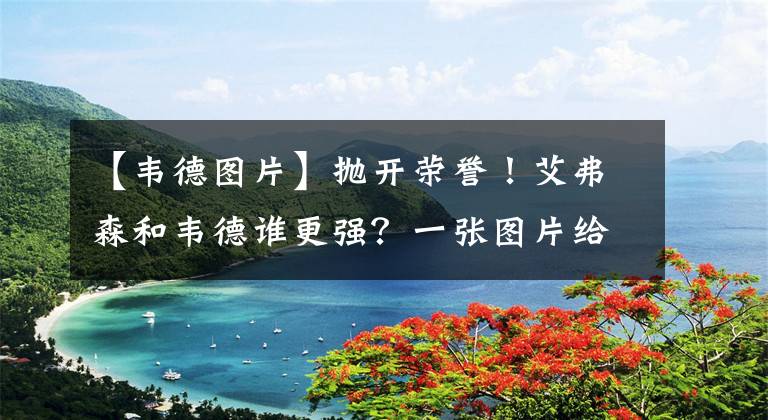 【韦德图片】抛开荣誉！艾弗森和韦德谁更强？一张图片给出答案，球迷认可