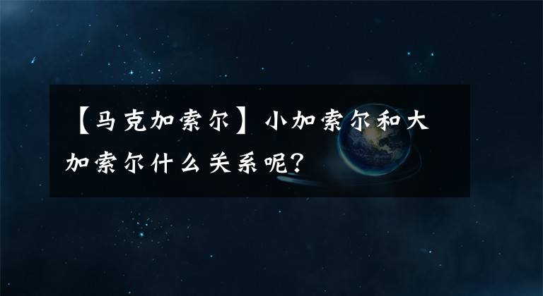 【马克加索尔】小加索尔和大加索尔什么关系呢?