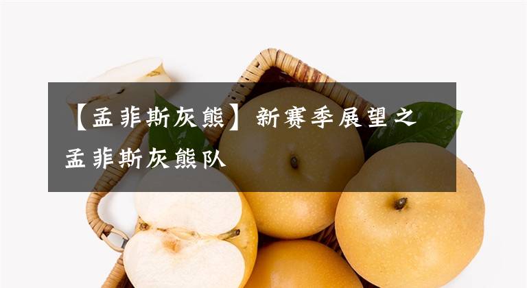 【孟菲斯灰熊】新赛季展望之孟菲斯灰熊队