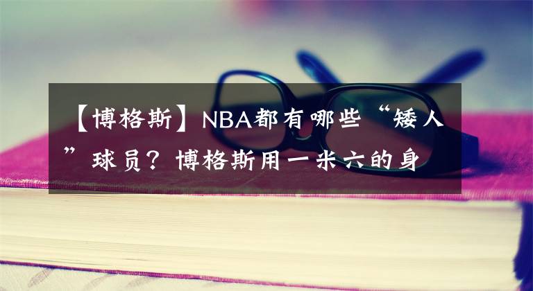 【博格斯】NBA都有哪些“矮人”球员？博格斯用一米六的身高，完成了篮球梦