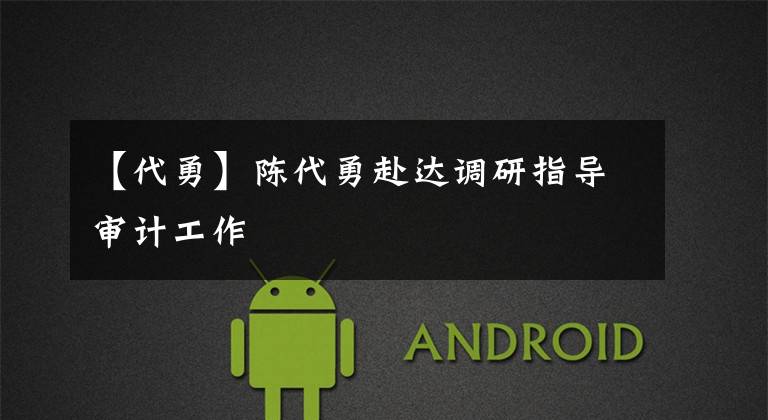 【代勇】陈代勇赴达调研指导审计工作