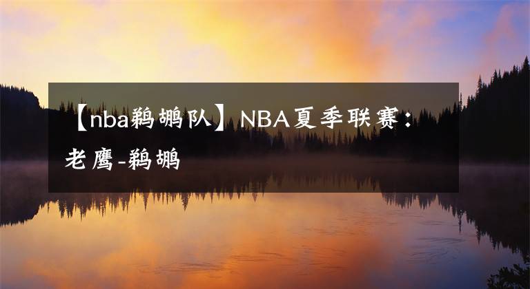 【nba鹈鹕队】NBA夏季联赛：老鹰-鹈鹕