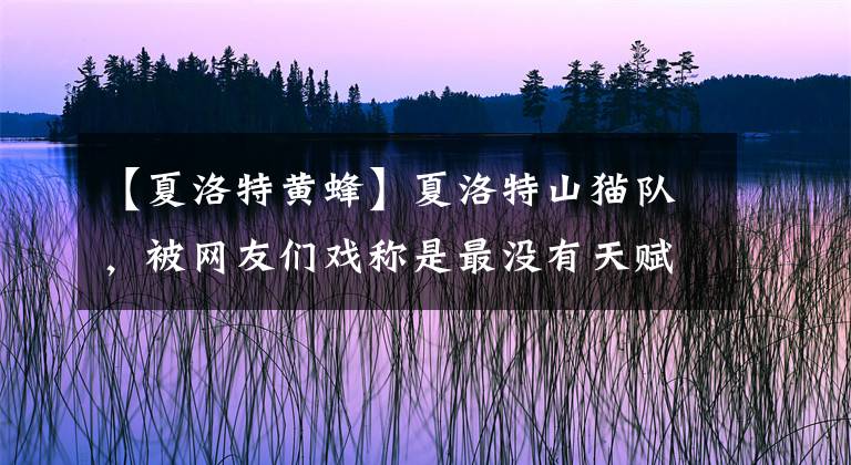 【夏洛特黄蜂】夏洛特山猫队，被网友们戏称是最没有天赋的球队，这是为什么？