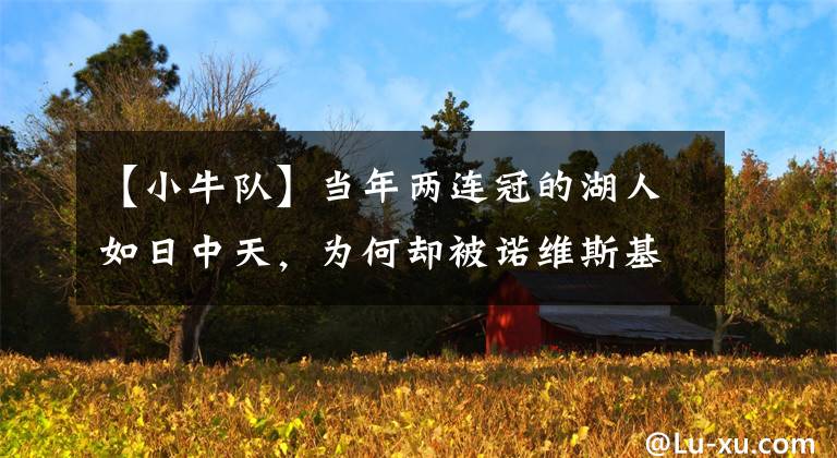 【小牛队】当年两连冠的湖人如日中天，为何却被诺维斯基率领的小牛队横扫？