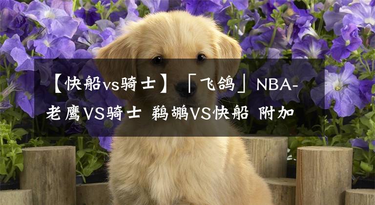 【快船vs骑士】「飞鸽」NBA-老鹰VS骑士 鹈鹕VS快船 附加赛收官大战
