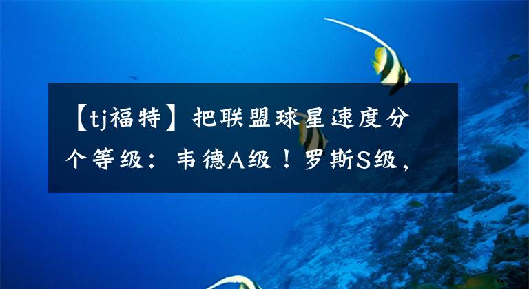 【tj福特】把联盟球星速度分个等级:韦德A级!罗斯S级,那SSS会是谁?