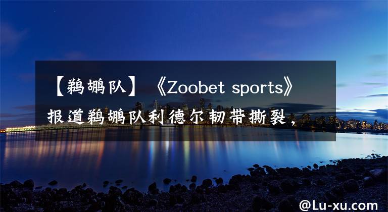【鹈鹕队】《Zoobet sports》报道鹈鹕队利德尔韧带撕裂，现实从来都很残酷