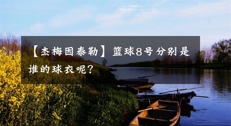 【杰梅因泰勒】篮球8号分别是谁的球衣呢？