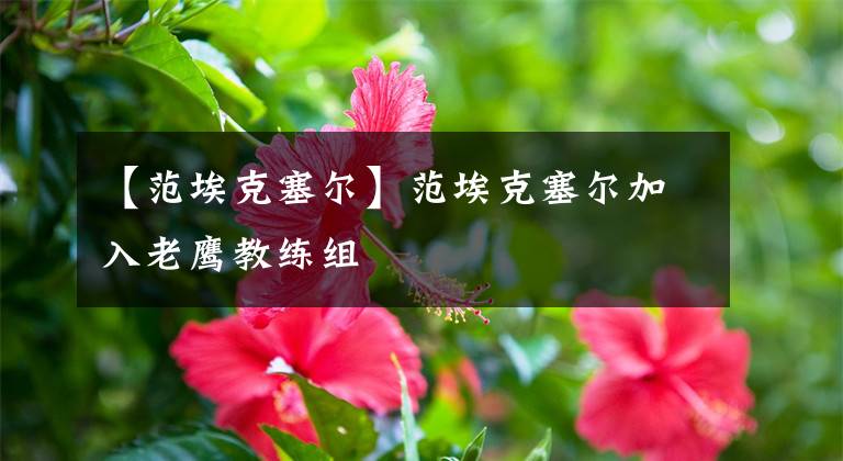 【范埃克塞尔】范埃克塞尔加入老鹰教练组