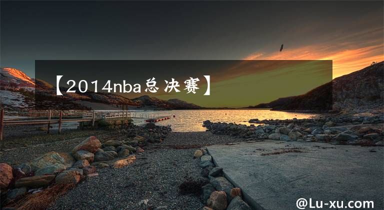 【2014nba总决赛】