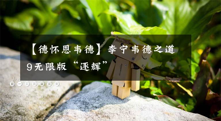 【德怀恩韦德】李宁韦德之道9无限版“逐辉”