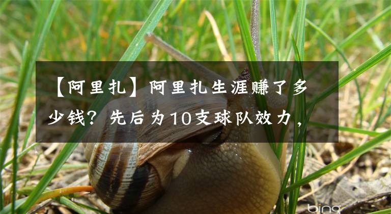 【阿里扎】阿里扎生涯赚了多少钱？先后为10支球队效力，赚1.18亿美元