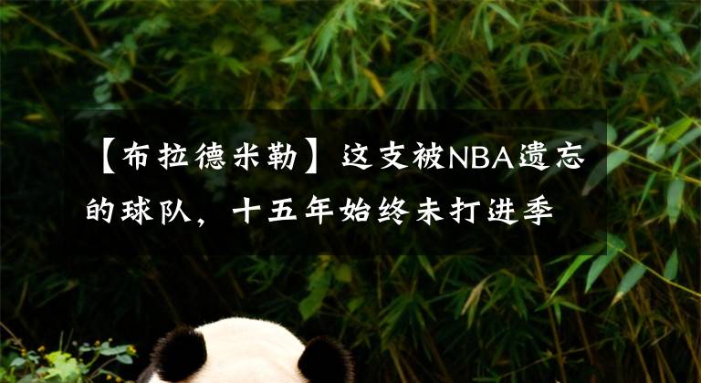 【布拉德米勒】这支被NBA遗忘的球队,十五年始终未打进季后赛