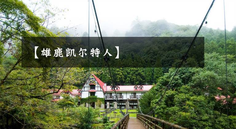 【雄鹿凯尔特人】