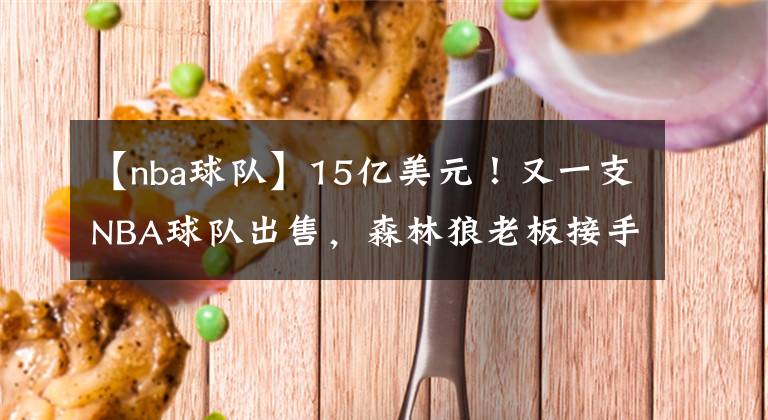 【nba球队】15亿美元!又一支NBA球队出售,森林狼老板接手球队26年赚了多少