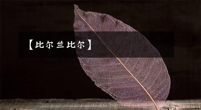 【比尔兰比尔】